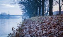 冬天的早晨作文200字