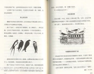 阅读1000字后的实践理论