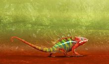 变色龙续写100字