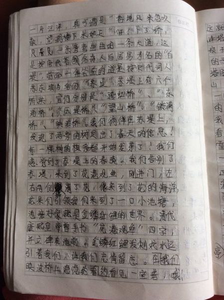 20年后，我写作的600个单词