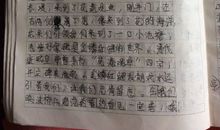 20年后的我作文600字