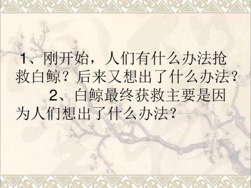 看完喜欢音乐的白鲸