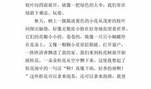 描写桂花的作文250字