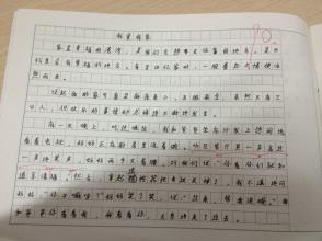 我爱我的家庭作文300字