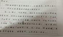 我爱我家作文300字