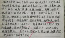 记忆中的温暖作文