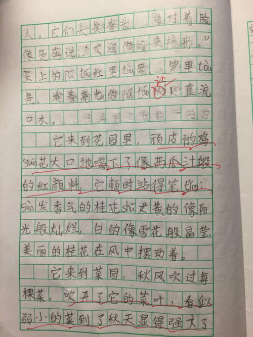 风景构成