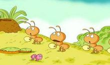 蚂蚁搬家的启示