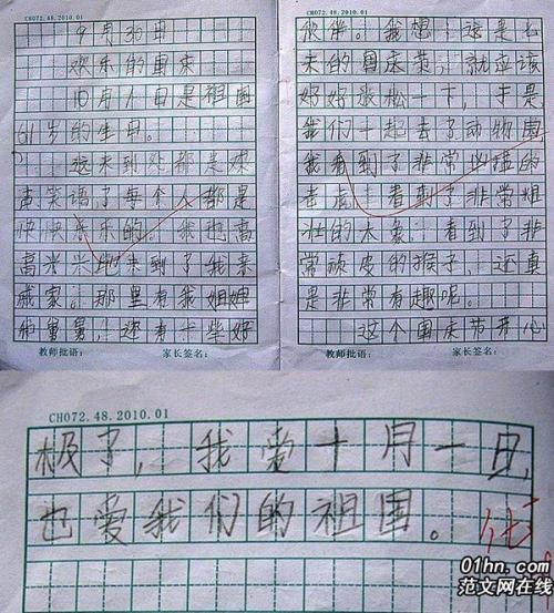 新年首作300字