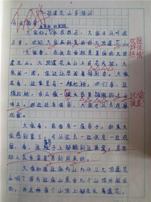 我的选择组成