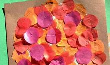 我改变了挫折的色彩