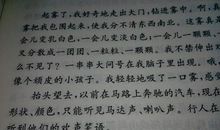 写景的作文800字大全