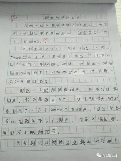 蜘蛛组成的灵感