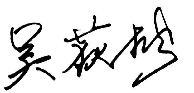 雪松的启蒙构图