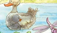 丑小鸭与我500字作文