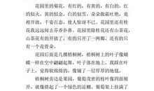 关于景色的作文400字