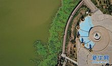 城市之肺读后感