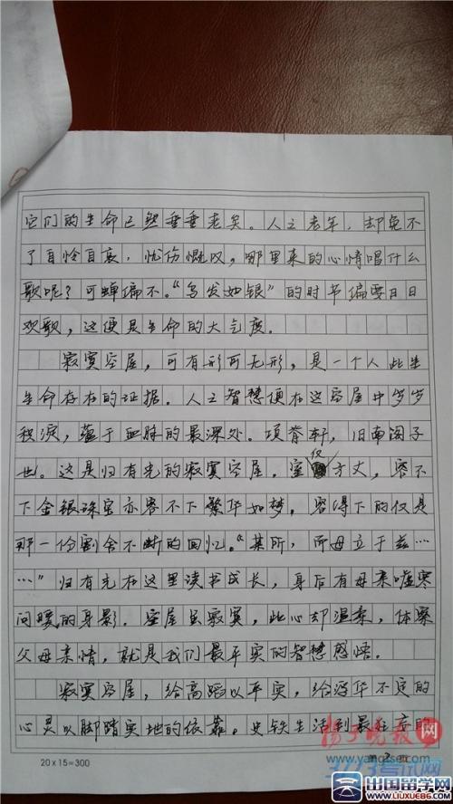2013年高考满分作文福建试卷