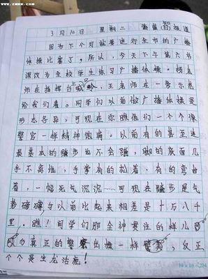家庭清洁成分600字