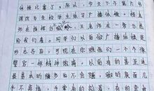 家庭大扫除作文600字