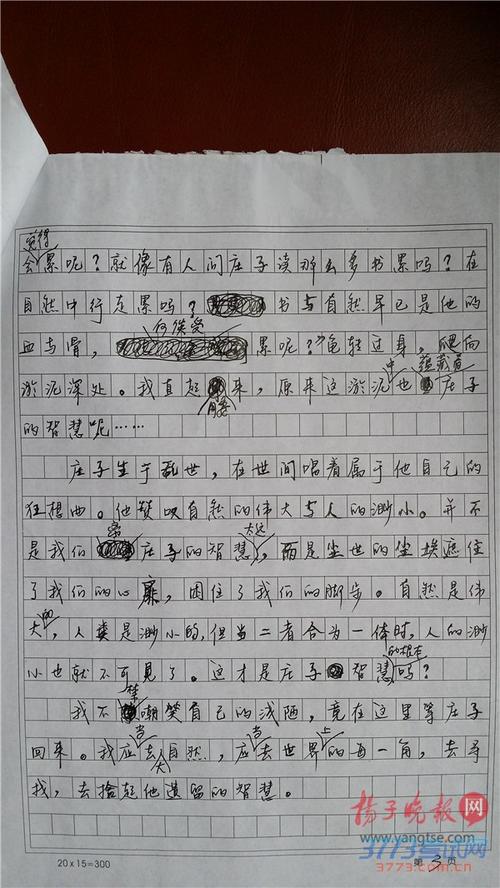 2013年高考全科作文湖南卷：纸梯