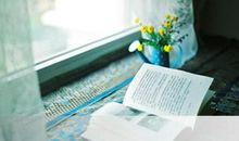 夏日的阳光作文