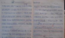 与环保有关的作文