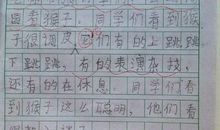 走亲戚作文200字
