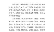 美丽的老师作文450字