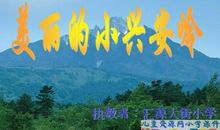 美丽的小兴安岭读后感