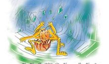 蜘蛛结网的启示作文