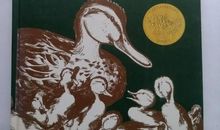 让路给小鸭子读后感