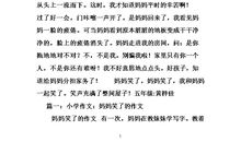 爸爸的爱作文400字