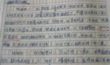 的启示作文400字