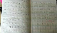 关于爸爸妈妈的作文