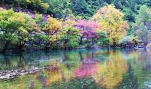 美丽的九寨沟作文