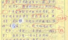 也美丽半命题作文