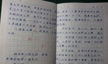 母爱作文读后感400字