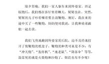 三年级作文寒假趣事