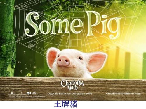 我读了《夏洛特的网》