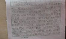 美丽的花园作文