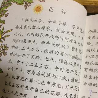 看完花钟