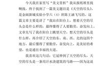 十四岁的天空读后感