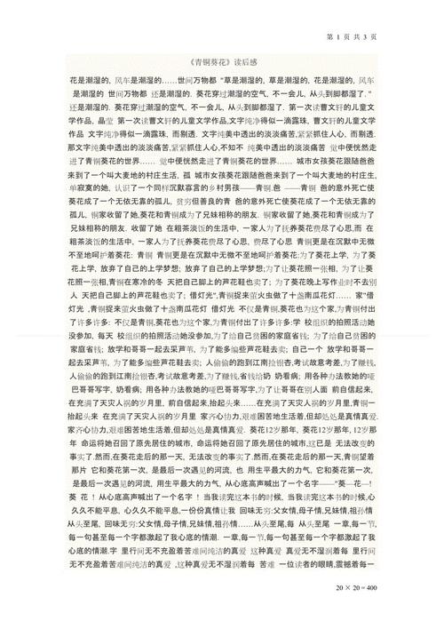 关于青铜向日葵的思考