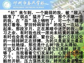 经验的增长