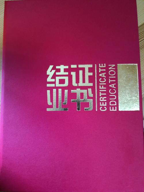 刻骨铭心的夏令营300字
