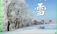 《沁园春雪》读后感