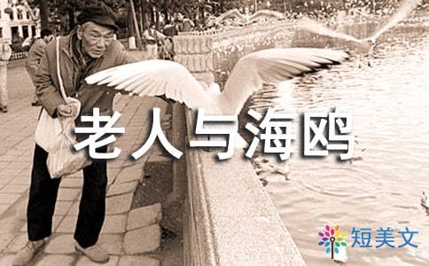 海鸥和少年