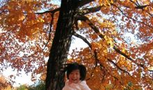 落叶也美丽作文