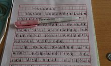 环保从我做起作文300字